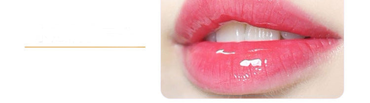 Elixir Nocturno para Labios de Seda